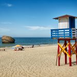 AdobeStock_102062870 (1)