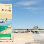 AdobeStock_390483734_Editorial_Use_Only