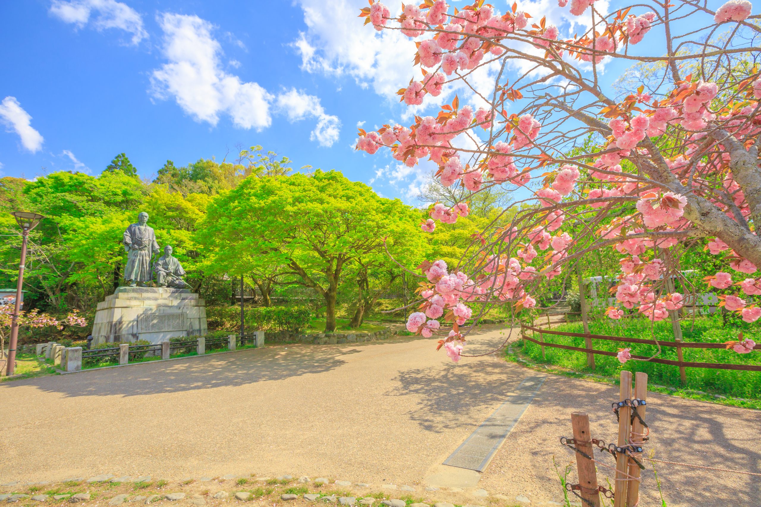 Statue of Sakamoto Ryoma and Nakaoka Shintaro at Maruyama Park, spring season with cherry blossom in Kyoto, Japan. Maruyama Park is Kyoto's most famous cherry-blossom viewing hanami spot.